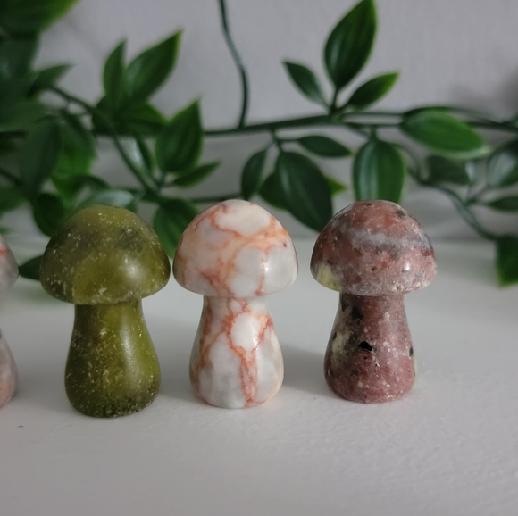 Mini mushrooms - Picture 7 of 10